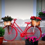 La nostra bicicletta nel cortile di Residence Il Frutteto