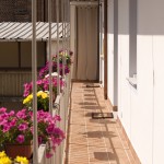 I fiori si affacciano sul cortile del Residence Il Frutteto